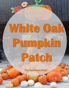 White Oak Pumpkin Patch